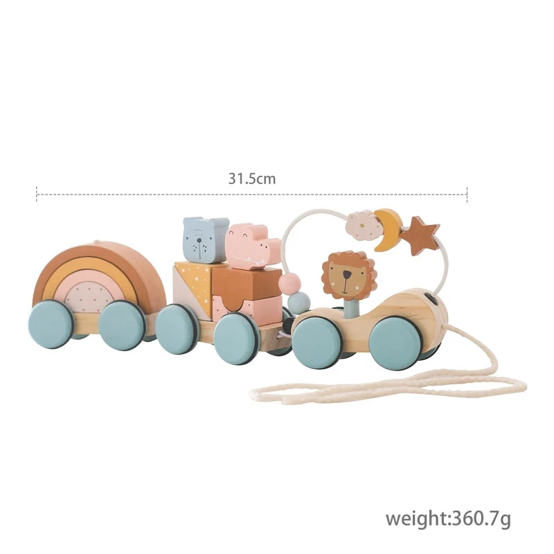 Wooden toy with colorful elements and measurement details on a white background